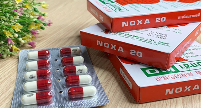 Thuốc Noxa 20 Thái Lan – GIúp điều trị bệnh xương khớp hiệu quả